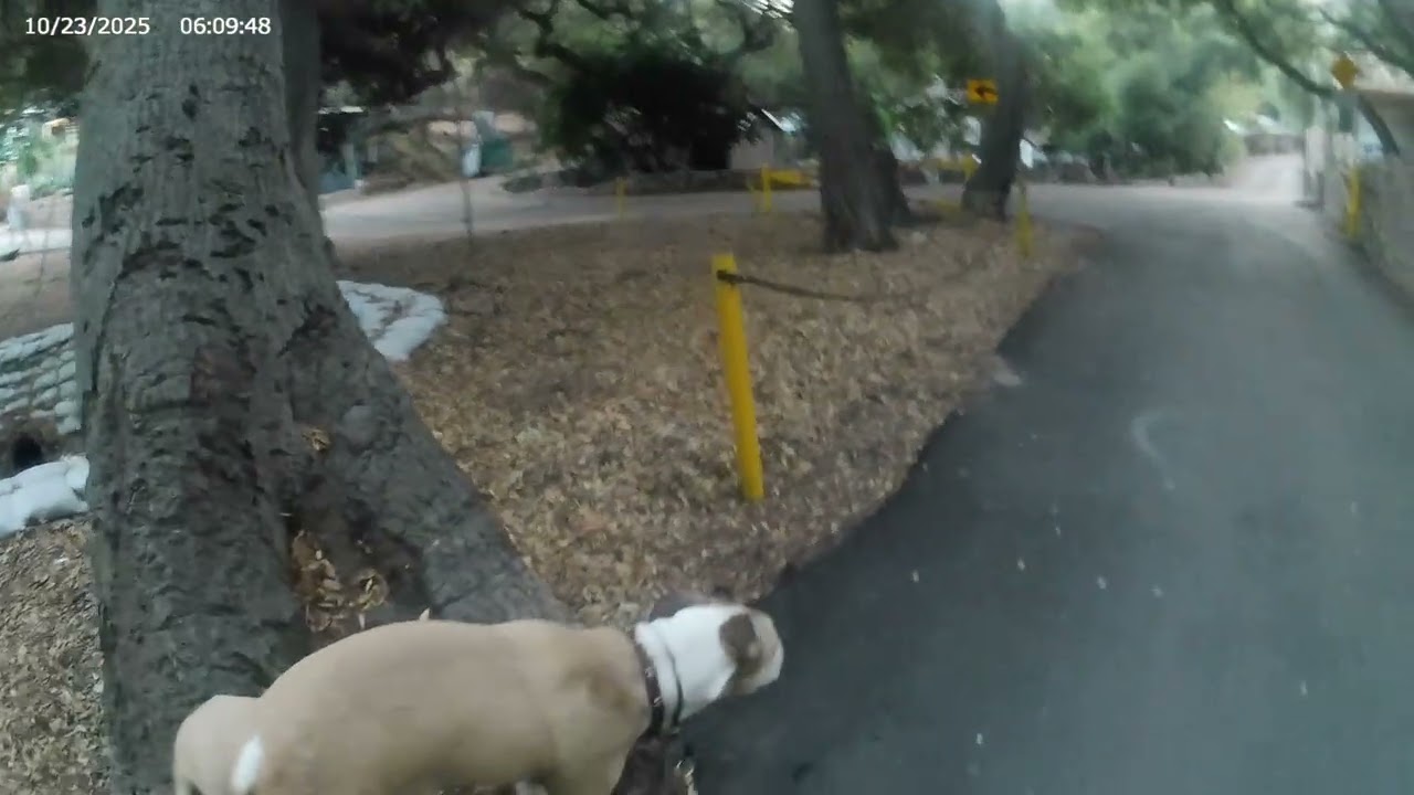 Take a walk with me through Kagel Canyon with my pet client | Some talking No AI |  Natural Audio
