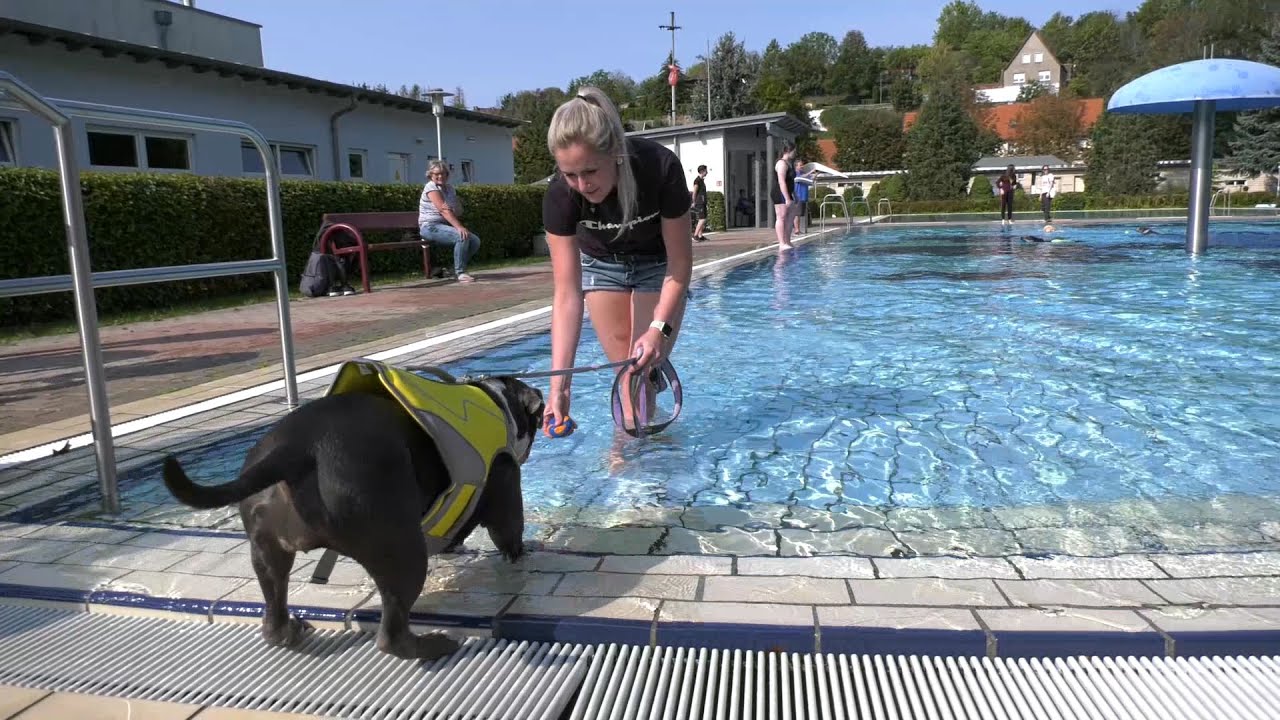 PUNKTum 2. Hundebadetag in Hettstedt