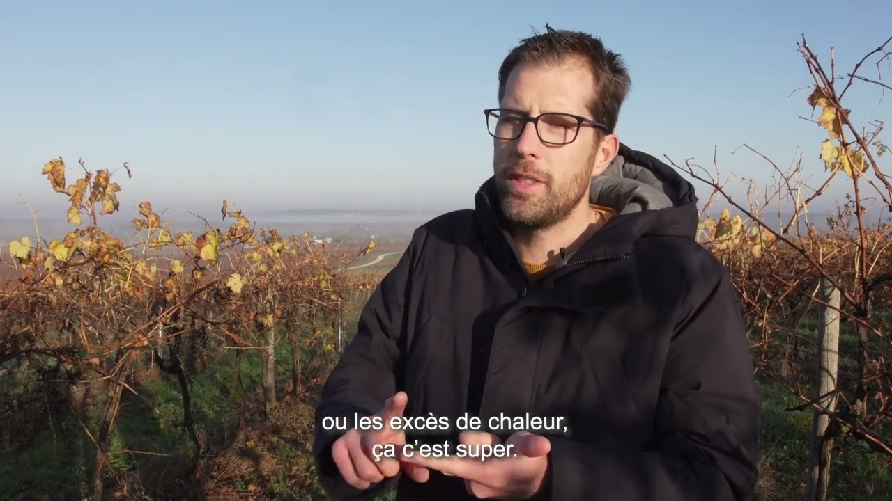 Viticulture Durable - Favoriser la biodiversit&eacute;
