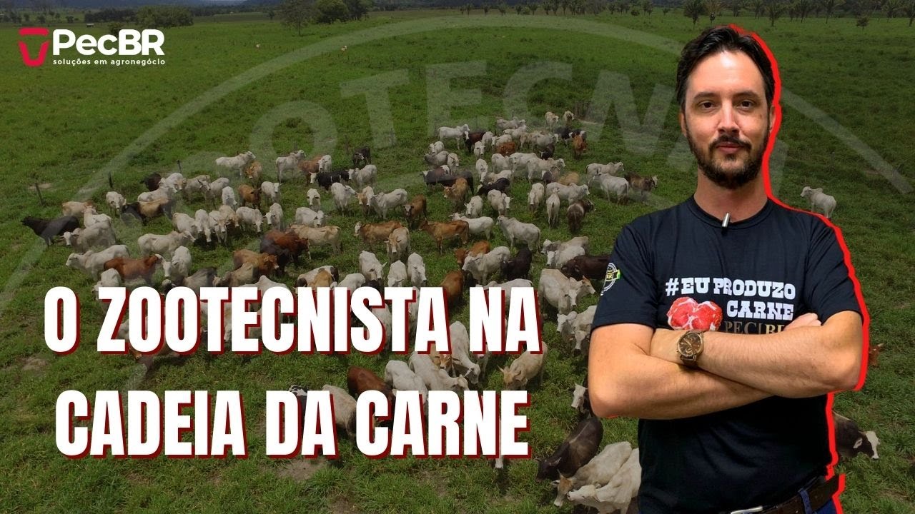 QUAL O PAPEL DO ZOOTECNISTA NA CADEIA DA CARNE?