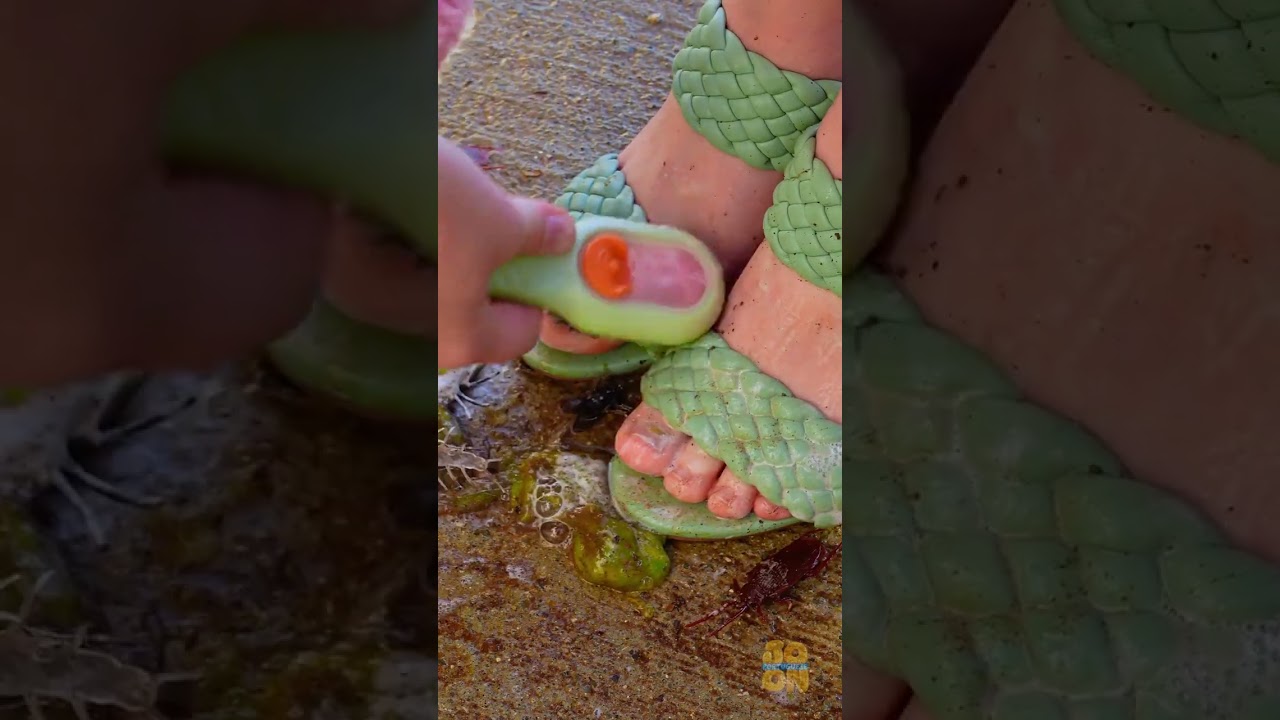 Sapatos Novos Sujos? 👠 Veja Este Gadget Limp&aacute;-los! ✨