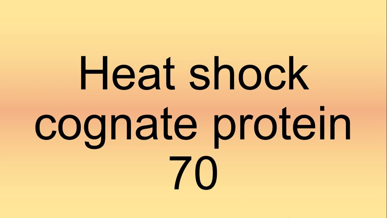 Heat shock cognate protein 70 Pronunciation | How to Say | How to Pronounce