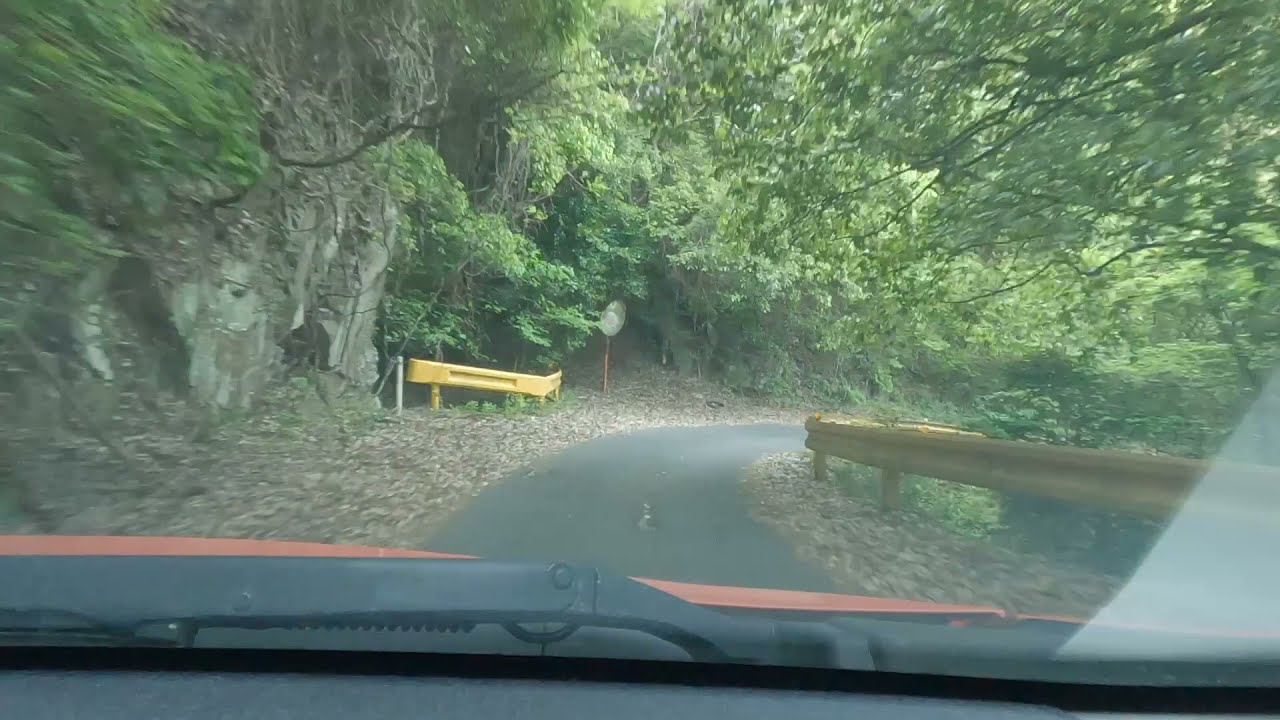 新幹線並みのスピードで(はない)ドライブ - 山口県道141号祖生通津停車場線 - (ドライブレコーダー画像)