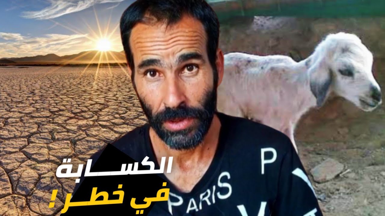 الكسابة بين نار العلف وجوع الماشية،🌵الأرض عطشانة والفلاح كيعاني!😱