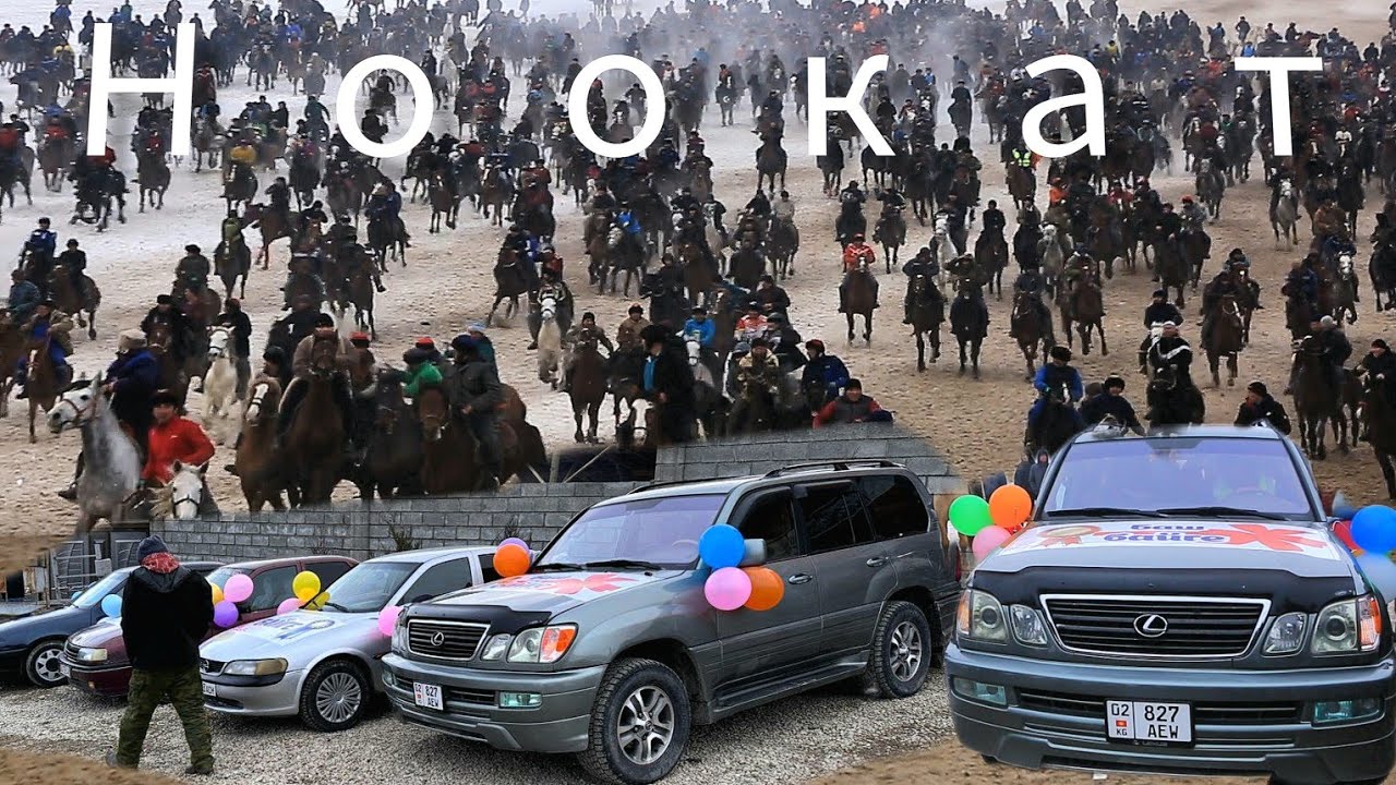 Ноокаттагы аламан улак 💥💥💥