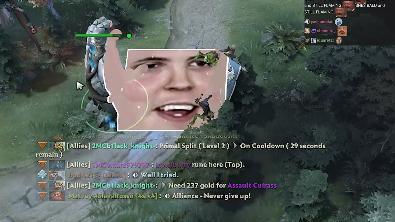 Bulldog Gets A Custom Waving Tower In Dota