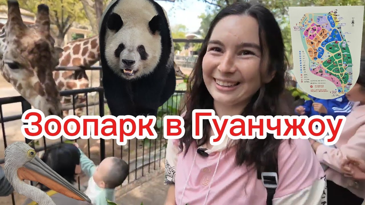 Сходили в зоопарк в Гуанчжоу (меня чуть не сожрал жираф!)