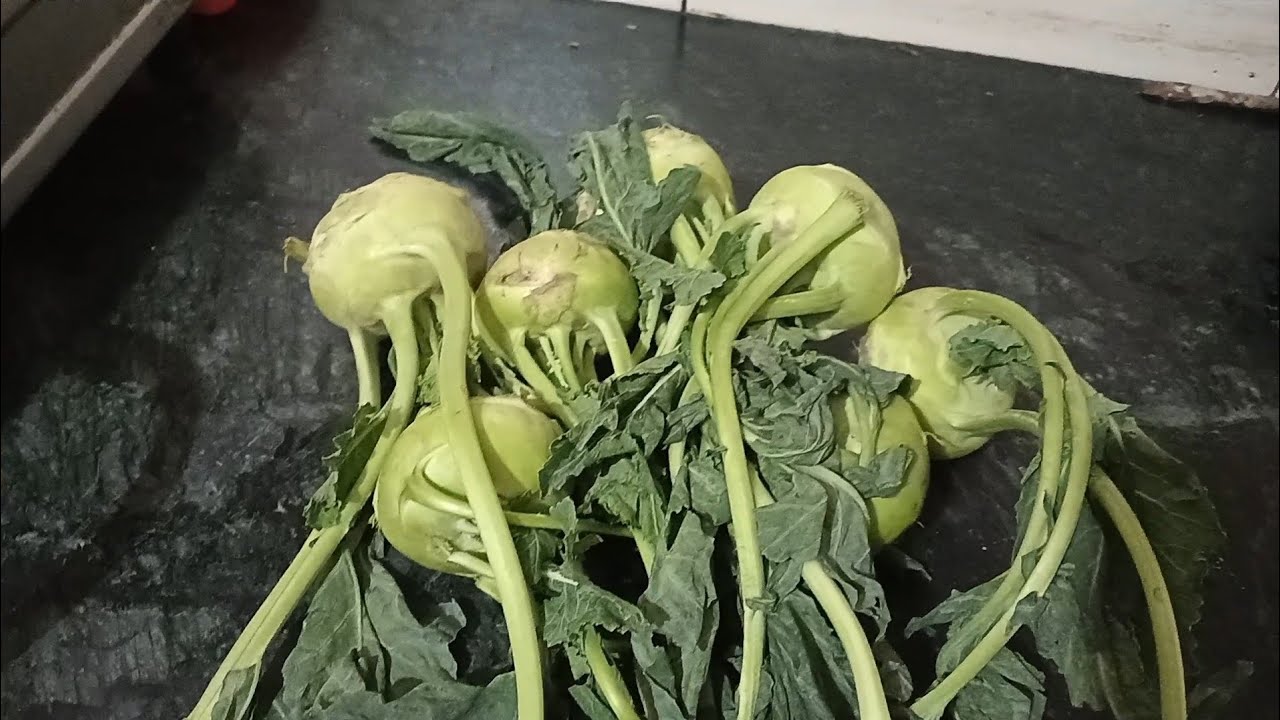 Ol gobhi ka uniq healthy recipe 😋l ओल गोभी रेसिपी 