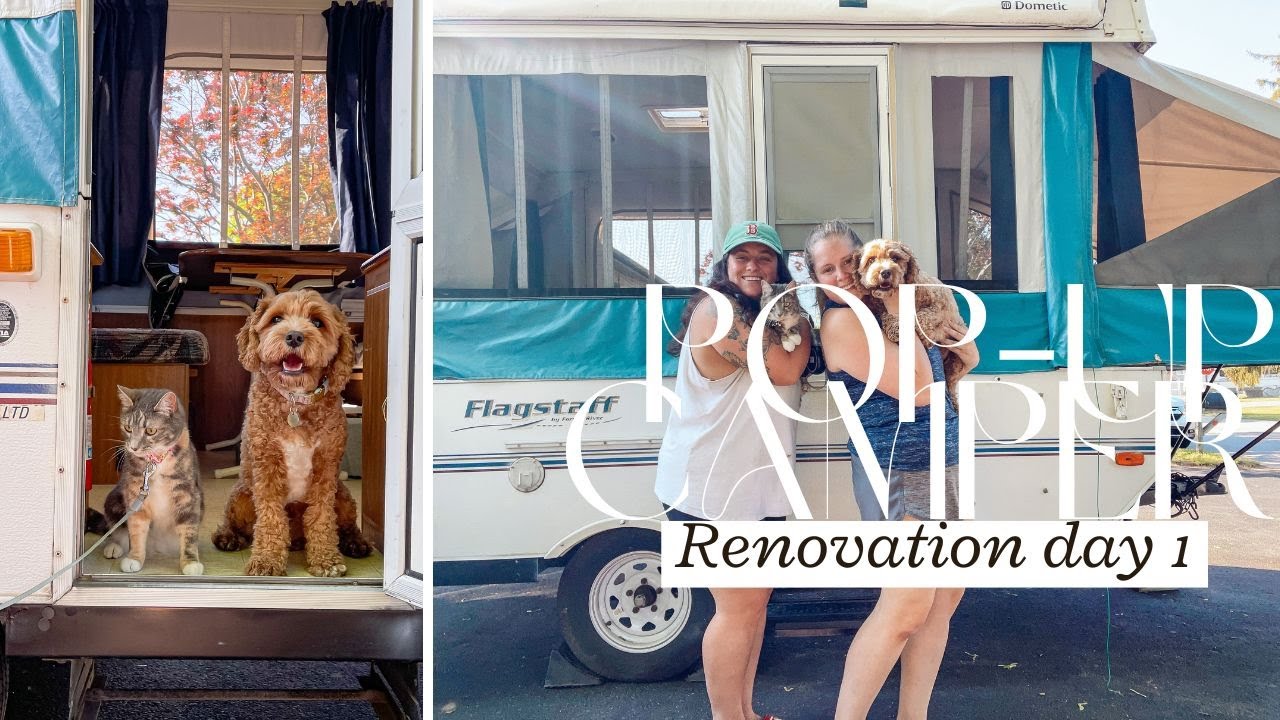 Renovating our 2002 Flagstaff Pop-up Camper! | Part 1
