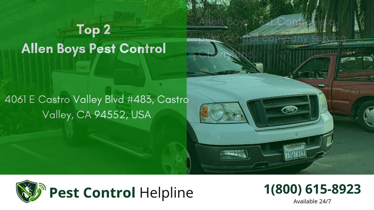 Top 3 Pest Control in Cherryland