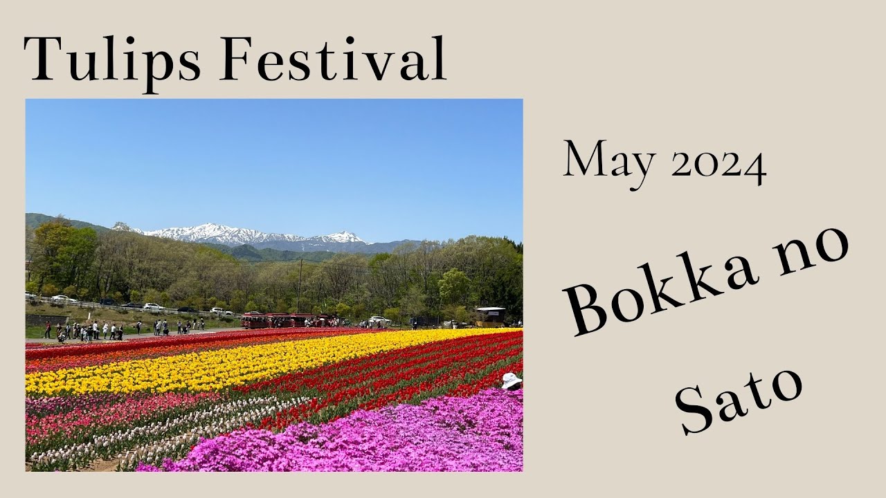 #21 Japan | Gifu | One day trip to Tulip Festival May 2024 Bokka no Sato ひるがの高原 牧歌の里