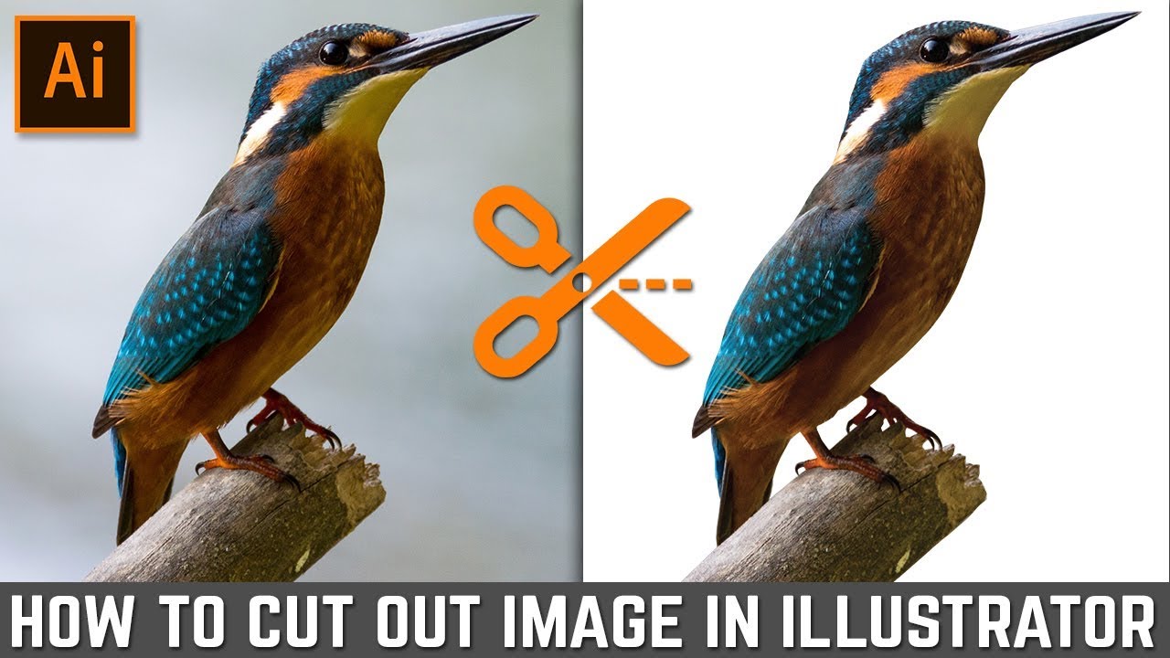 Cara Memotong Gambar di Adobe Illustrator