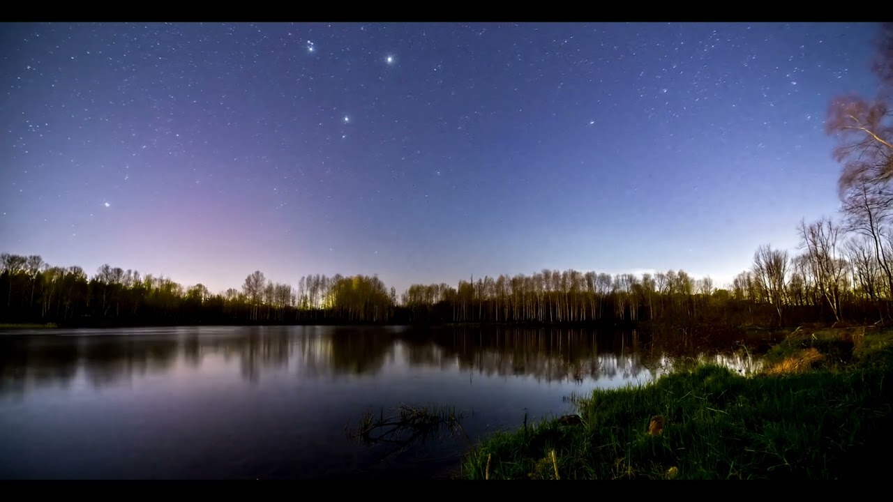 Serene Riverbank: Stars and Whispering Trees 静谧河边的星空与树影
