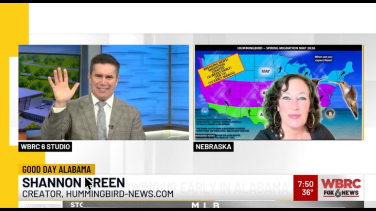 FOX 6 NEWS (WBRC) INTERVIEW: EARLY HUMMINGBIRD MIGRATION 2026