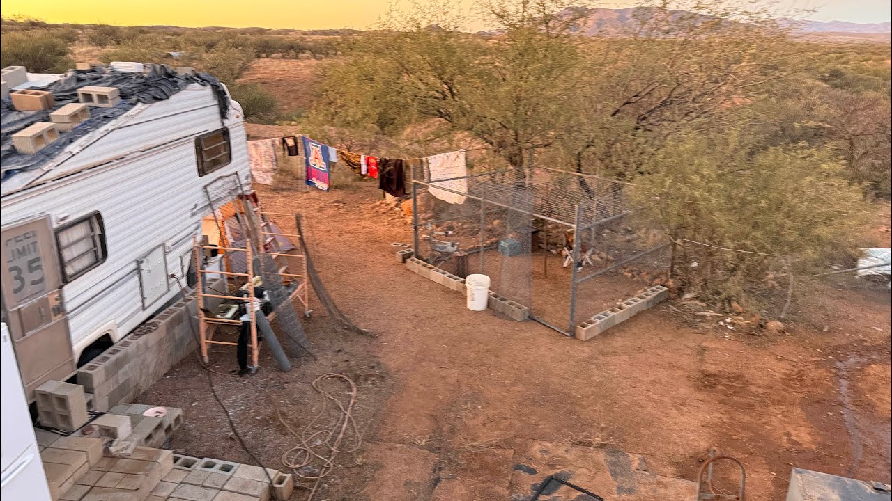 Homesteading update/ check in! 