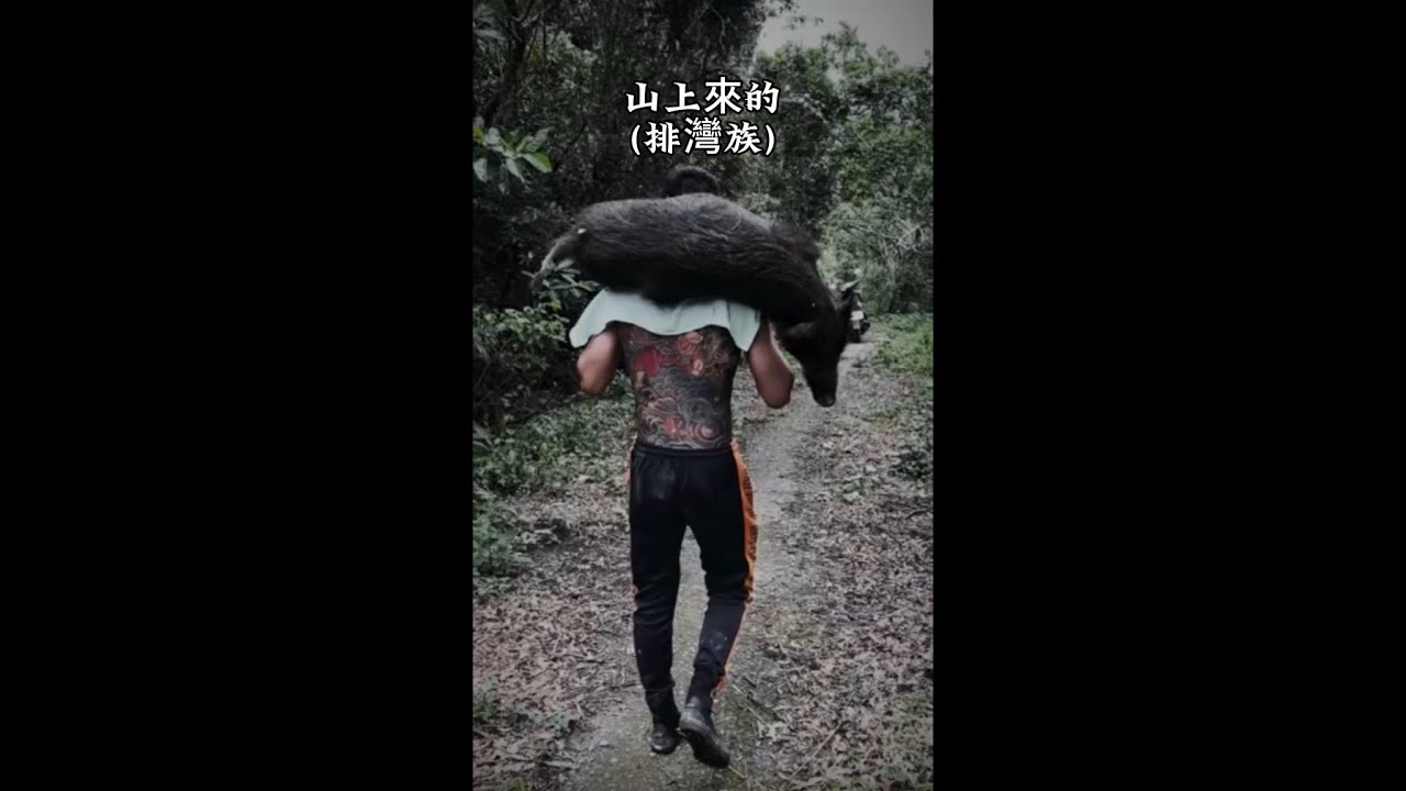 CR185 山上來的(排灣族)(yen)