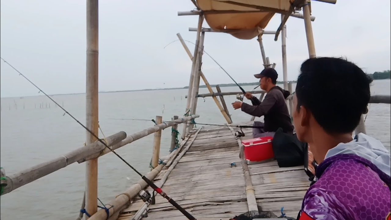 Modal 10 Ribu ‼️Mancing Bagan Pinggir Karang Serang Tanjung Kait