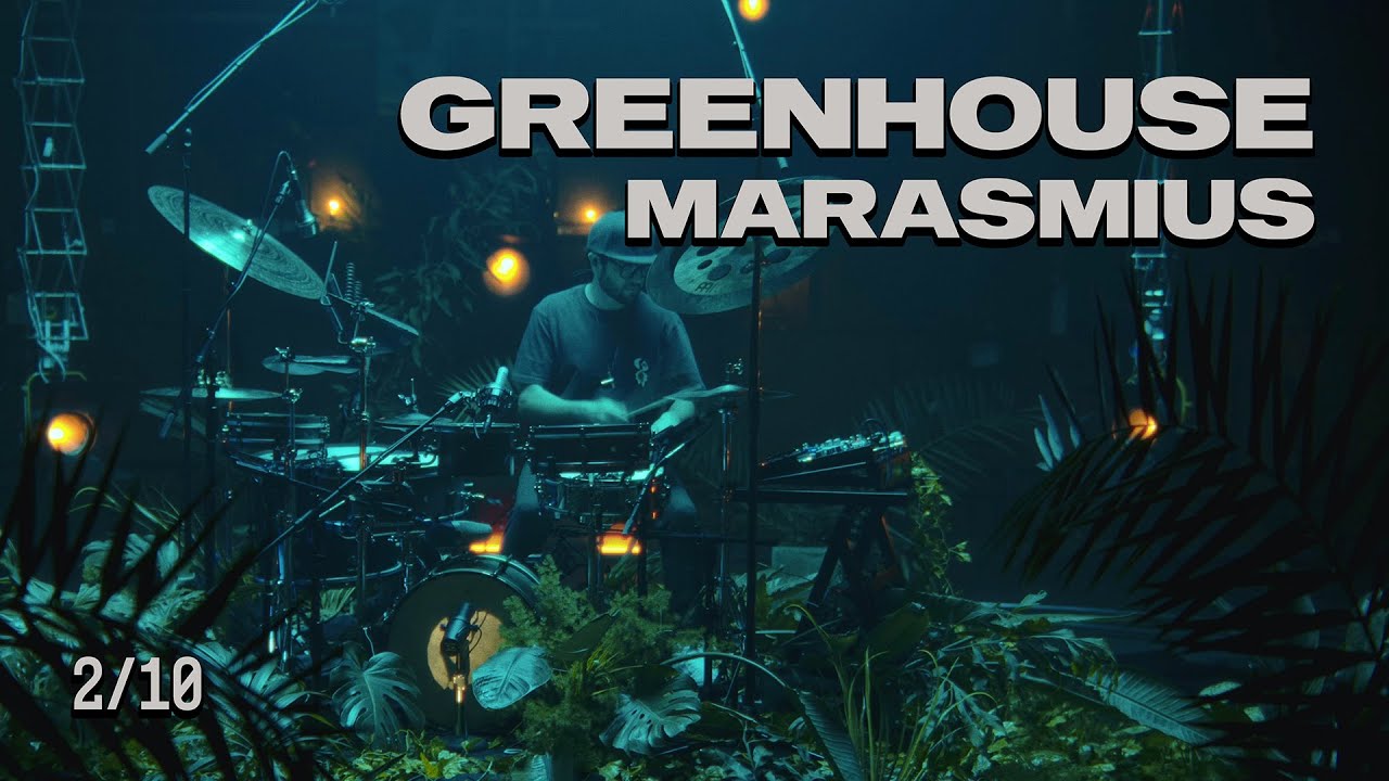 Dan Mayo - Marasmius (2/10)