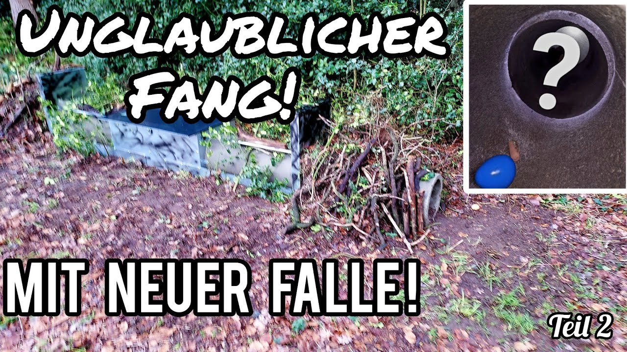 Neue Falle mit MEGA Fangerfolg - Aufstellen einer FallenFuchs Wildmeister im Revier / Standortfrage