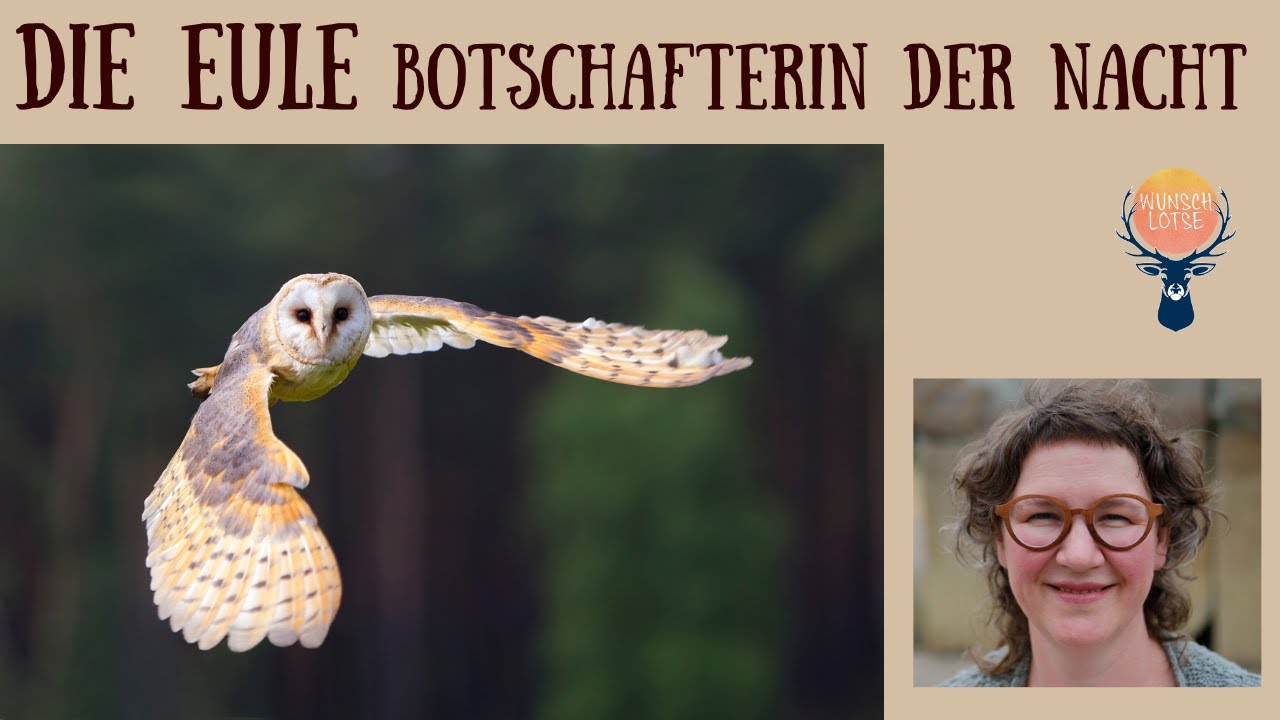 Das Krafttier Eule - Botschafterin der Nacht