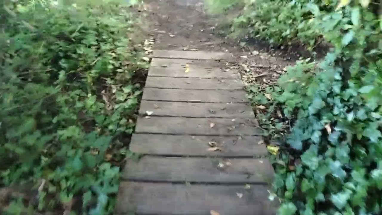 Hidden lake behind Sainsburys Talbot Heath, lovely views.