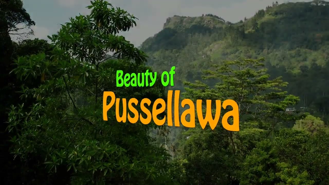 Bueauty of Pussellawa