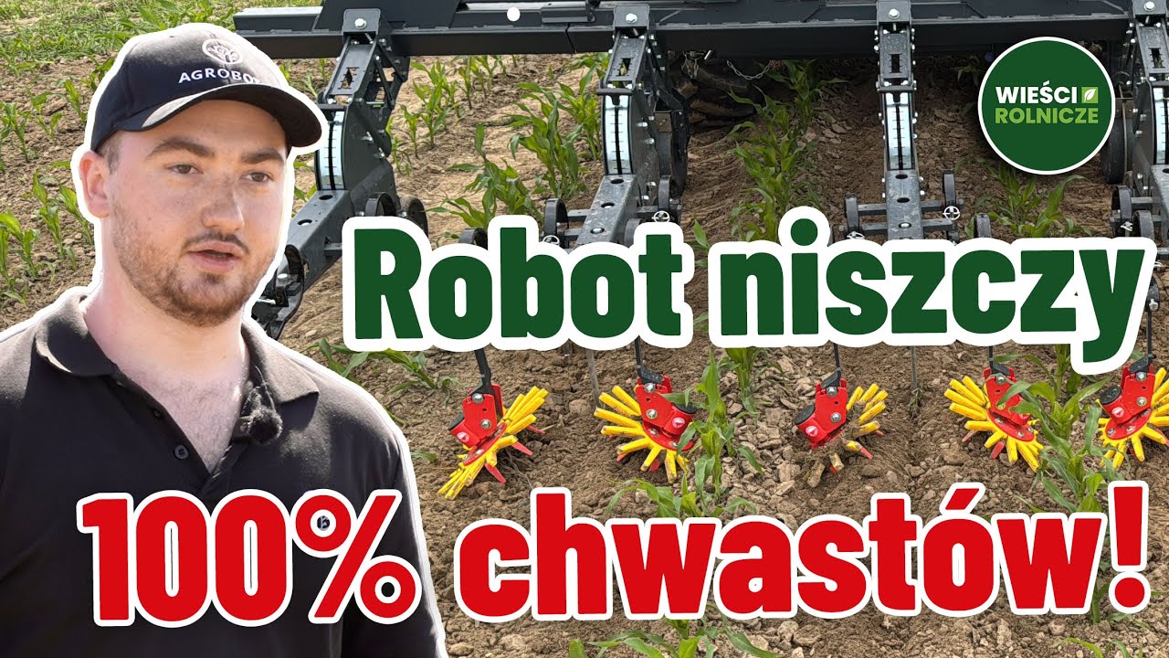 Pielnik z kamerą sam niszczy 100% chwastów. Zobacz jak to robi!