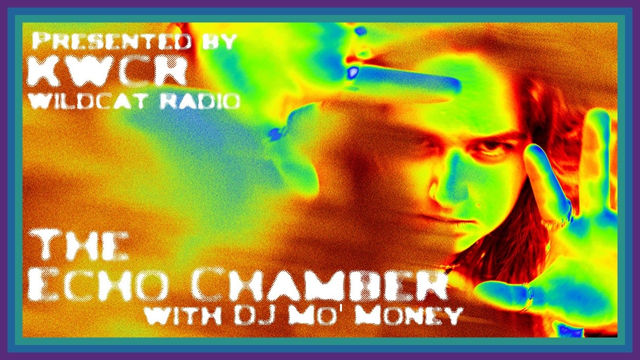 The Echo Chamber with DJ Mo' Money - Episode 5: CNA Horror Stories ft. DJ Madster and Amazing Grace