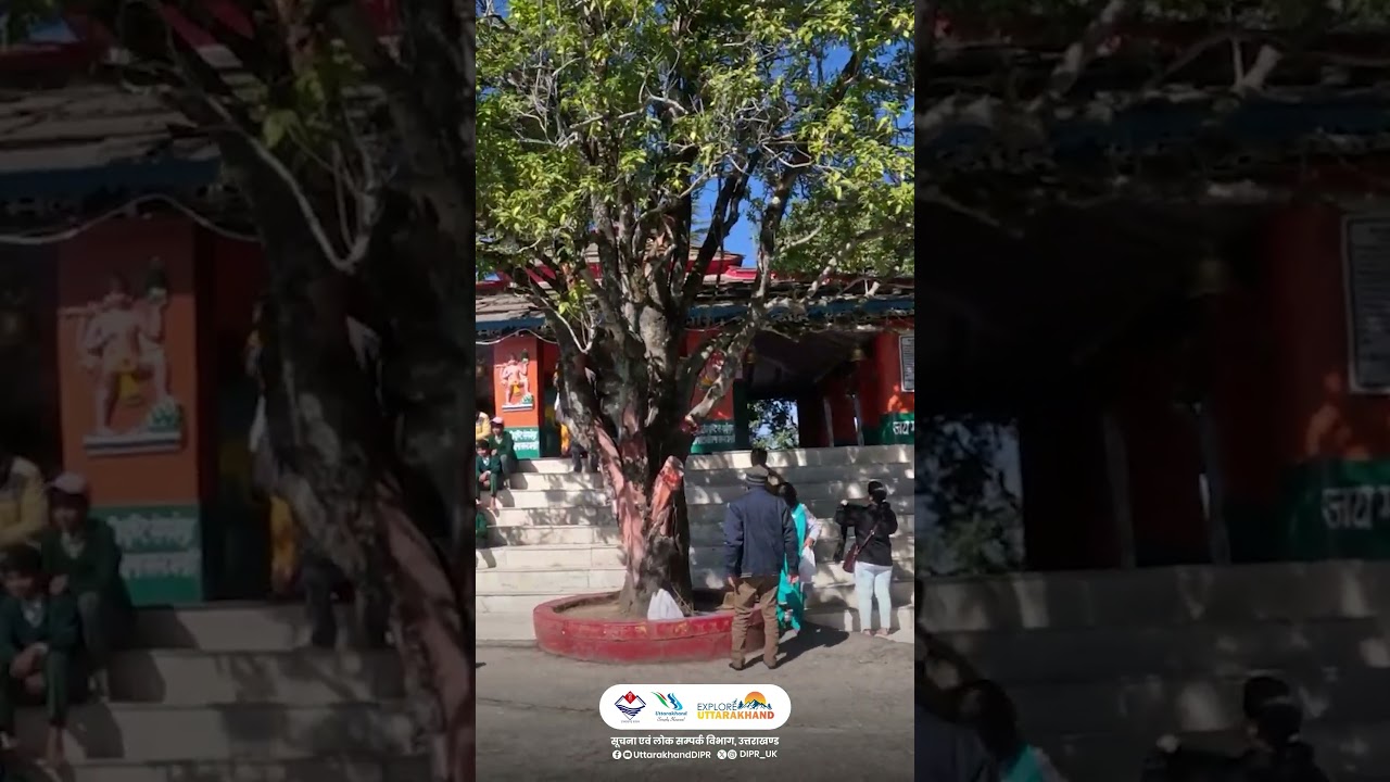 📍Dunagiri Temple, District- Almora #ExploreUttarakhand #AlmoraDistrict #TemplesofUttarakhand