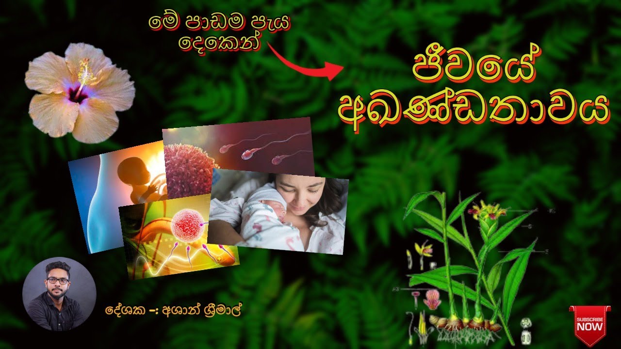 ජීවයේ අඛණ්ඩතාවය |  ප්‍රජනනය | 10 ශ්‍රේණිය | Jeewaye Akandathawaya | Part 1