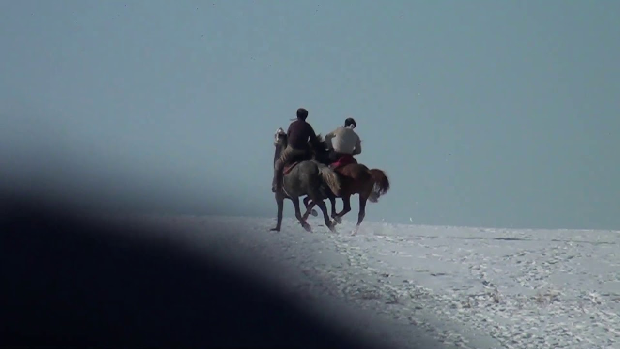 Бекетов Еркеғали берген БАТА КӨКПАР