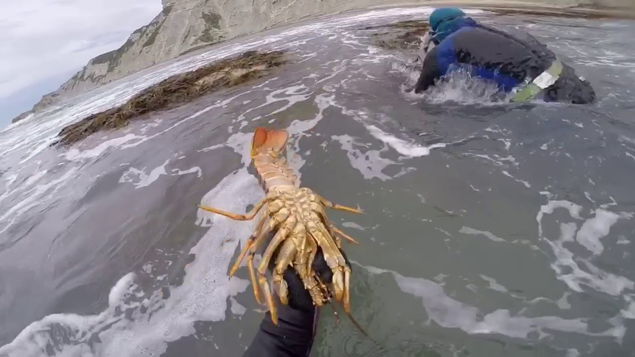 Diving coast style