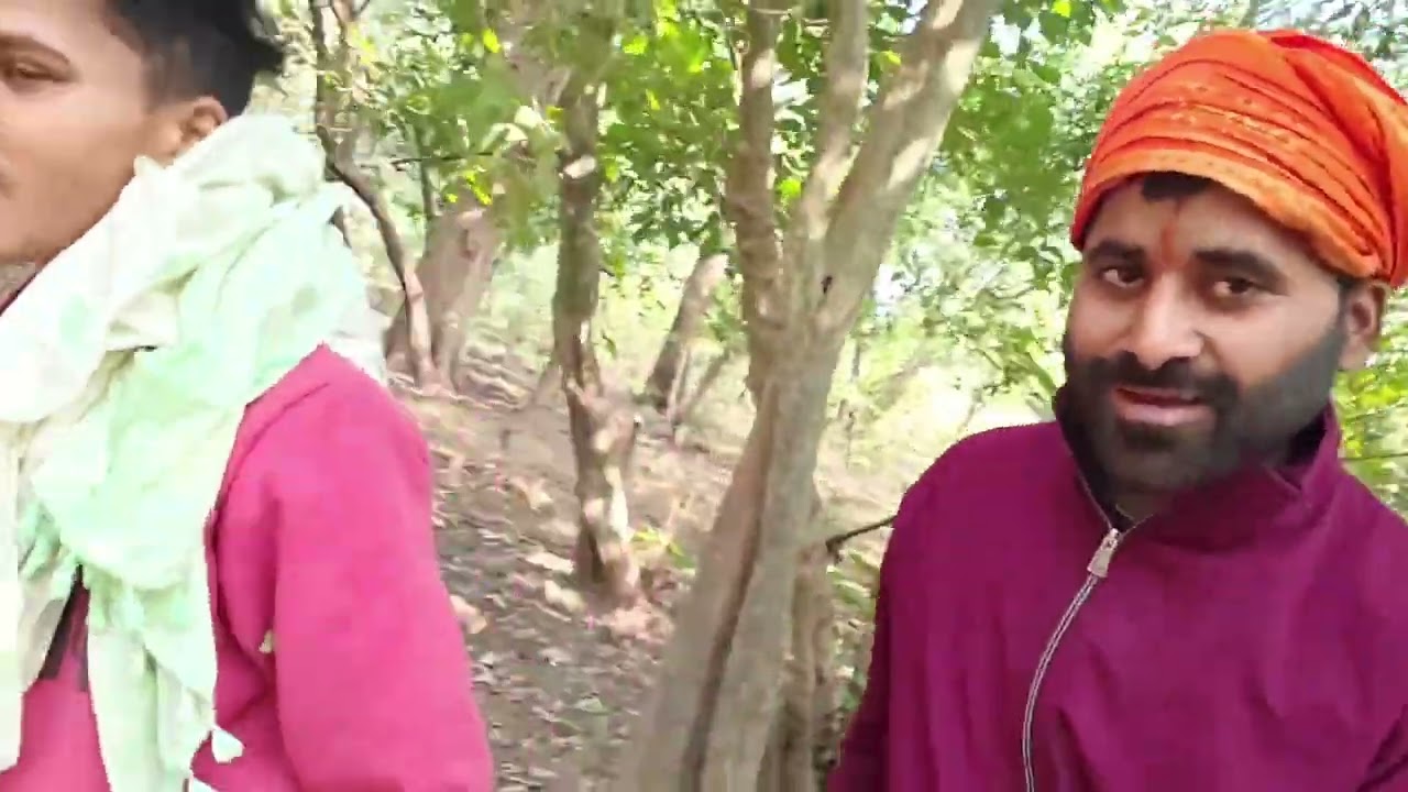 जंगल में आज लकड़ी लाने गए आश्रम के लिए