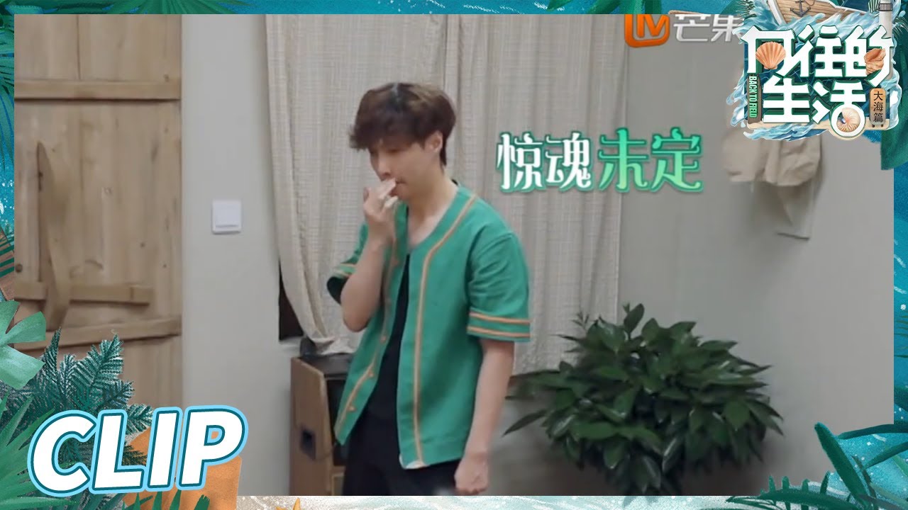 【尝鲜版】张艺兴被彩灯吓到飞进屋子？源头竟然是小H和彩灯打起来了！《向往的生活6》Back to Field S6 EP5丨Hunan TV