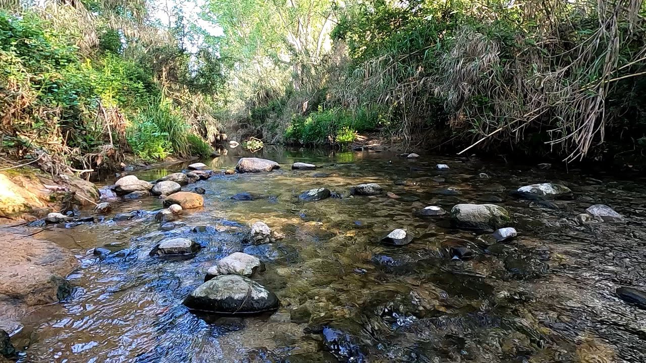 Probando la Gopro 8 Black | RT3 Trail Running