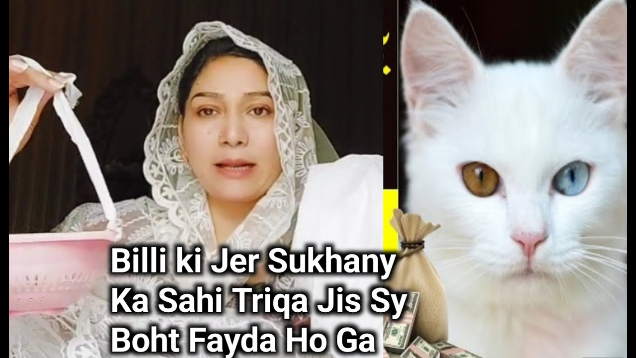 Billi Ki Nal (Jaer)Sukhany Ka Sahi Triqa|Kon se Billi Ki Jaer Rukhni Chahey|Saba'sPlace