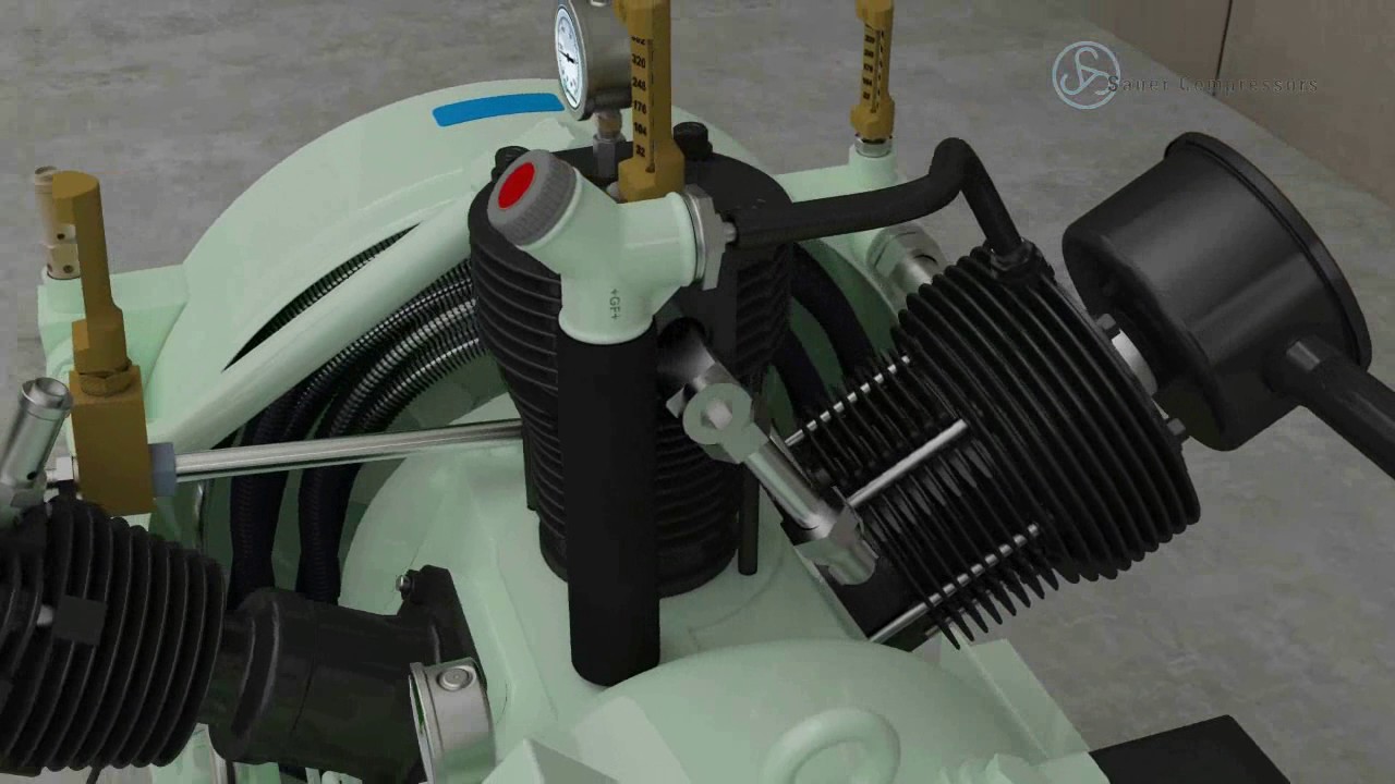 WP81L Animated Video