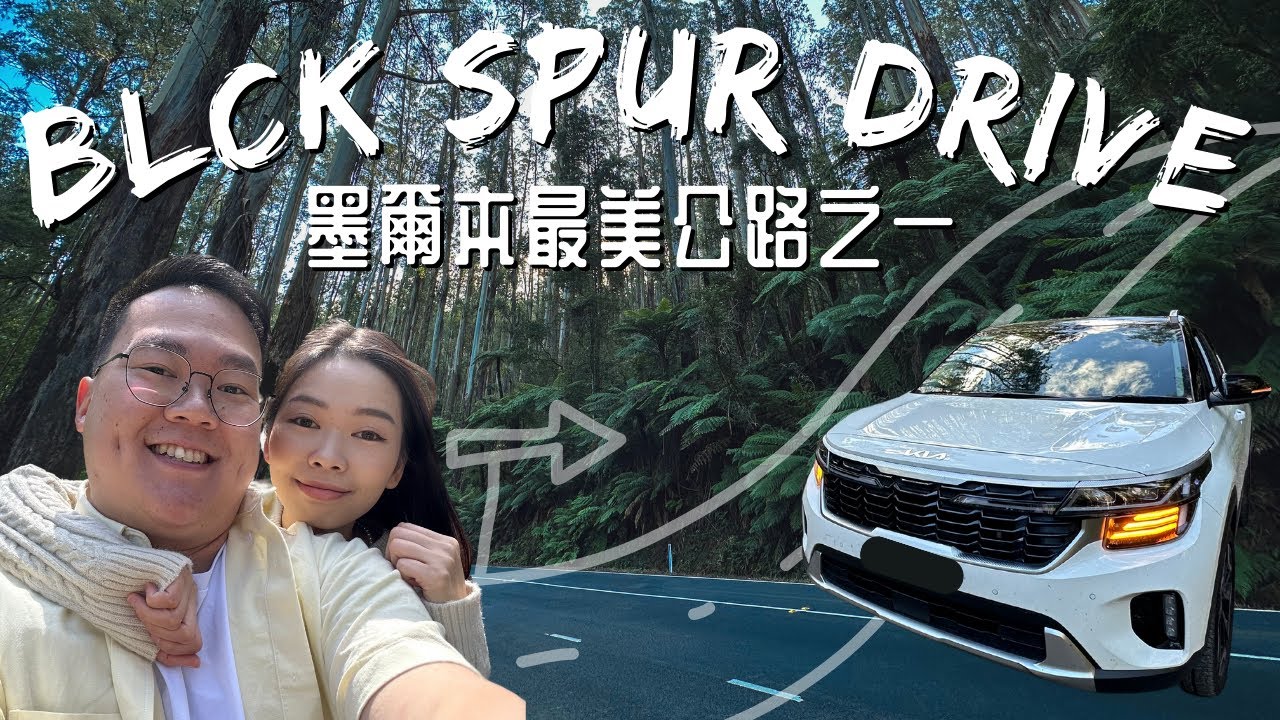 【澳洲🇦🇺 - 自游篇】墨爾本最靚公路之一 Black Spur Drive