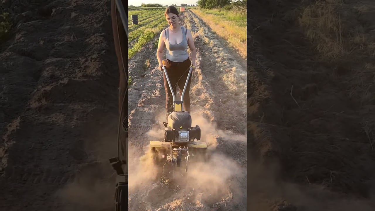 Uprawa pola pod warzywka 🥒🍅 #dziewczyna #girl #plants #rolnictwo #pomidory #kobietasukcesu #video