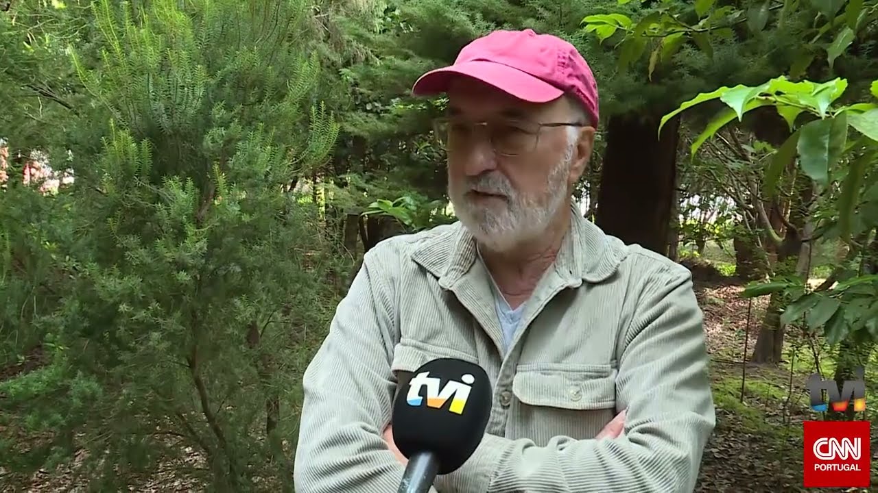 CONSERVAÇÃO DA LAURISSILVA