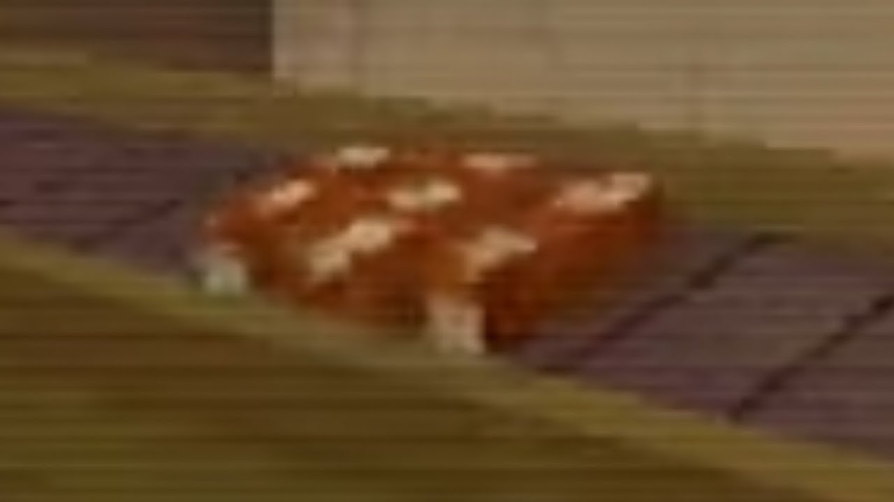 BU BAGAJDA NE VAR 😥