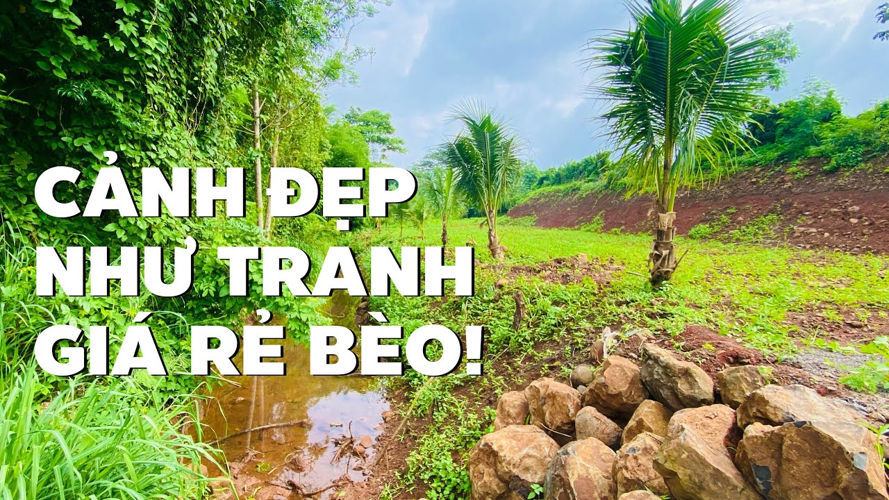 Chỉ nhỉnh 1 tỷ cho 3112m2 đất vườn ven suối ở BR-VT gần chợ trung tâm xã (ĐÃ BÁN)