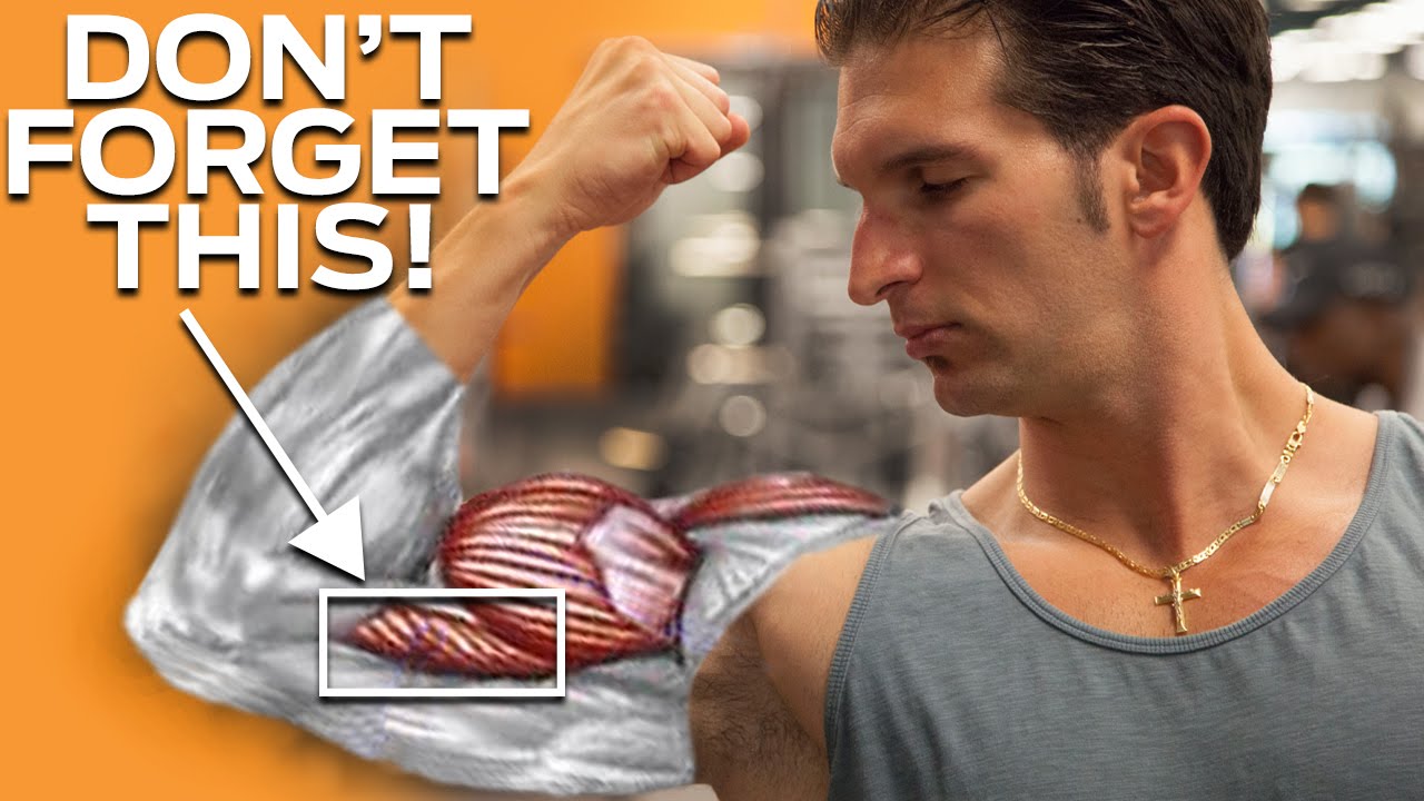 The Ultimate Workout to Get Bigger Arms (8 ADVANCED ARM EXCERCISES TO ADD INCHES!)