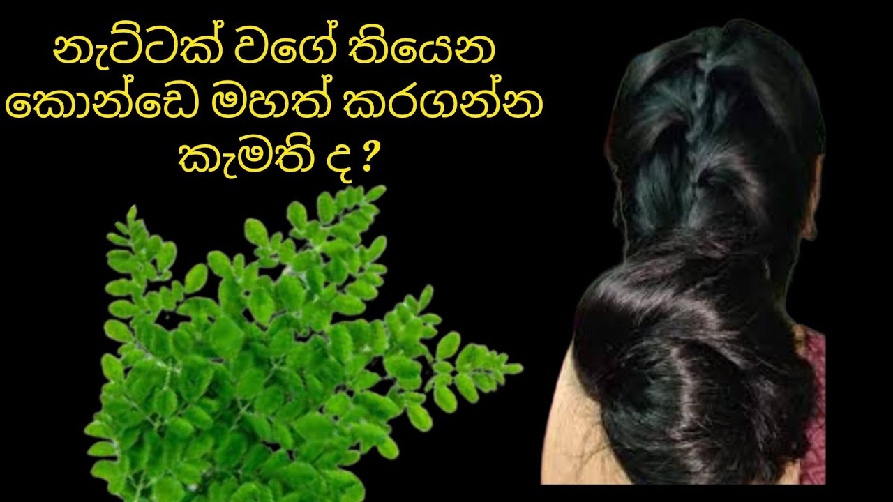 නාන්න කලින් මේ දේ කරන්න | Jawa Food Corner 