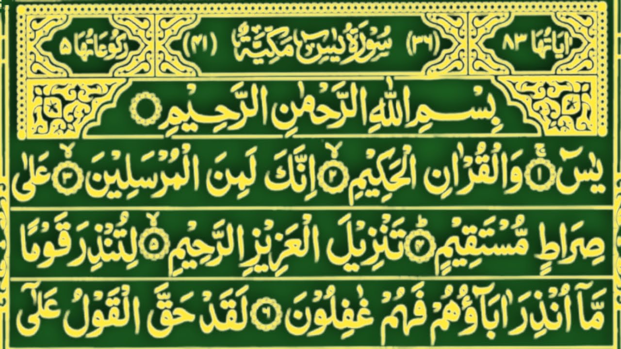 Recitation of Surah Yaseen | Surah Yaseen Ki Tilawat | Beautiful Quran Recitation | Surah Yaseen