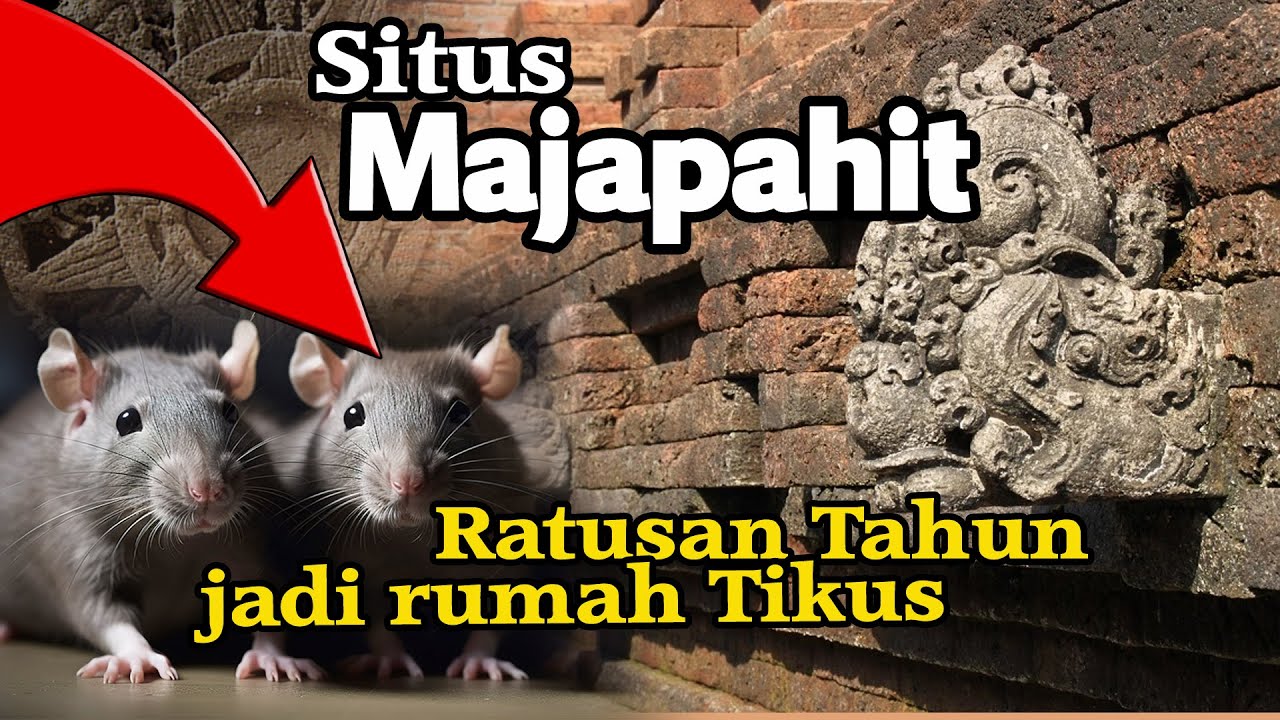 Situs Majapahit jadi rumah tikus selama ratusan tahun