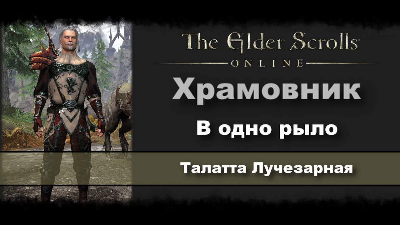 [WASD Gaming] The Elder Scrolls Online. Храмовник. В одно рыло. Талатта Лучезарная