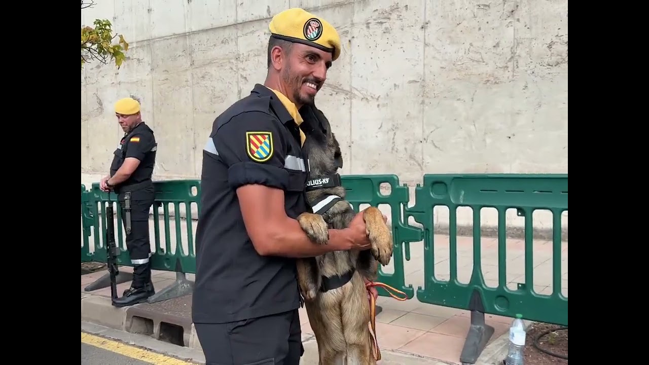 Resumen del desfile del DIFAS25 en Santa Cruz de Tenerife.