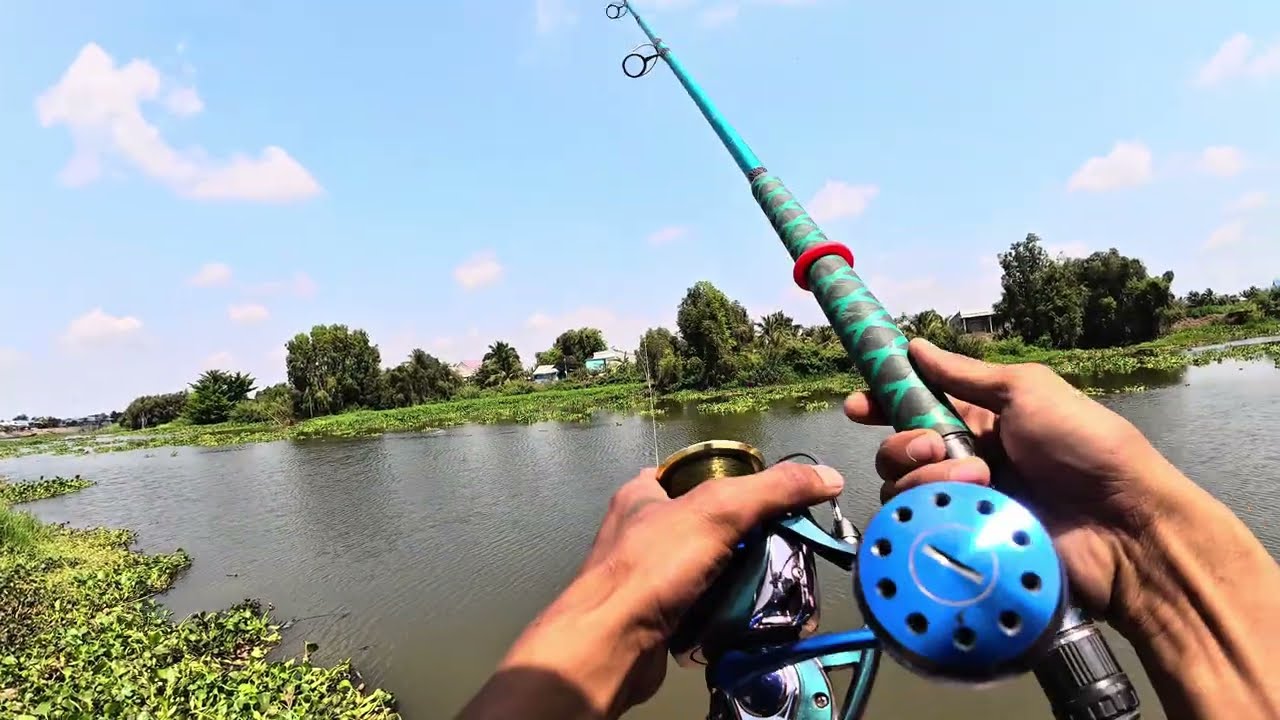câu cá tra vùng biên giới với cái nắng 40 độ
