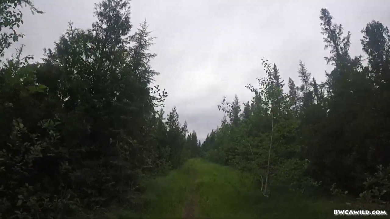 Portage - BWCA Entry Point 67 to Bog Lake in the BWCA